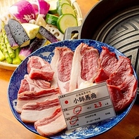 昼夜問わず楽しめる充実のコースと逸品料理