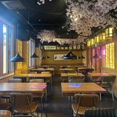 韓国居酒屋 マッコリハンザン 月光酒店の雰囲気2