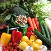 新鮮な野菜たちをふんだんに使用♪単品料理やコース料理でお楽しみいただける八香閣の野菜たちは季節に合わせて旬の物を御用意しております。シャキシャキの食感や季節物ならではの甘味が感じられるよう丁寧に調理しております。