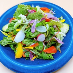 20種類のお野菜を使用したガーデンサラダ
