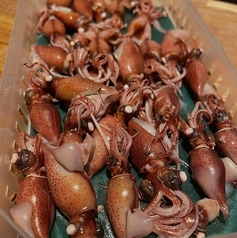 ホタルイカ沖漬け