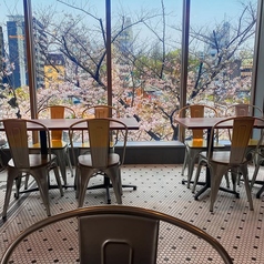 Bar SanDiego バーサンディエゴのコース写真