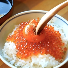 イクラ卵黄丼