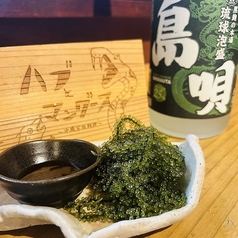 ハブとマングース 高知店のおすすめポイント1