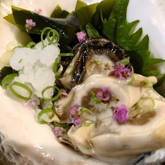 岩ガキ刺身