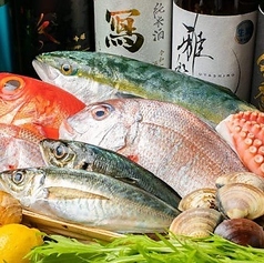海鮮酒場 うお心 枚方市駅店のおすすめ料理2