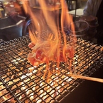 藁焼きはりせんぼん 六本松店