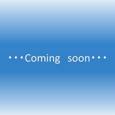 北品川 がむしゃらのおすすめ料理1