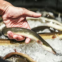 老舗卸問屋直営ゆえの新鮮素材への強いこだわり