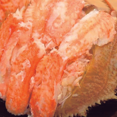 北海道産毛蟹だるま【Ke-gani Daruma(Hokkaido Horsehair Crab)】