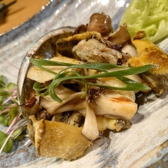 活あわび 100g