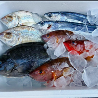 釣った魚を持ち込める海鮮居酒屋