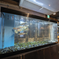 イケスから直行！活魚のお造りが織りなす極上の幸福