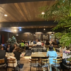 【プードル専門ドッグカフェ】　The Y's CAFE 大須本店のコース写真