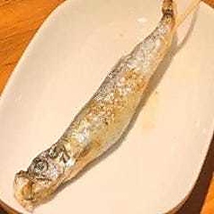 【その他炭焼き一品】子持ちししゃも串