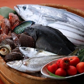 土佐みょうじんのおすすめ料理2