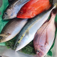 全国の港から届く旨い魚！