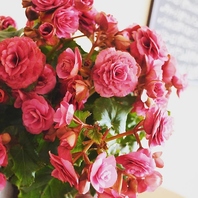 女子会や誕生日に♪