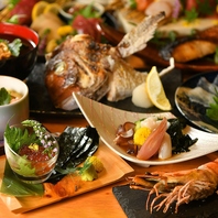 食体験を彩る鮮やかな器類