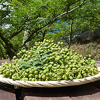 最高峰の山椒【ぶどう山椒】を使用