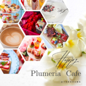 vAJtF Plumeria Cafe ʐ^