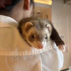 抱っこチェキが撮れます