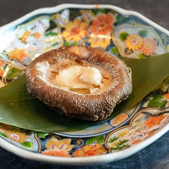 どんこ椎茸