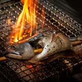 目の前で丁寧に炙り上げるのは、旬の鮮魚やみずみずしい季節野菜、旨みあふれるジューシーな肉。素材の魅力を最大限に引き出す「炉端焼き」だからこそ、味わえる感動をご提供いたします。