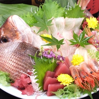 【寿司会席】6名以上で、鯛の活き造りプレゼント！
