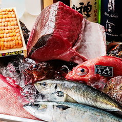 三崎をはじめとする全国の鮮魚を堪能