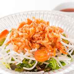 サクサク桜海老サラダ