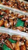 和kyoのおすすめ料理2