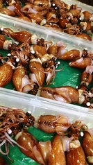 和kyoのおすすめ料理2