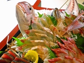 唐戸・山陰・福岡県からの魚が入荷。地元の魚を堪能できる。