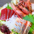 料理メニュー写真 ◆だんらんやおススメの新鮮魚介◆