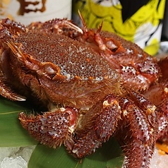 旬食だいにんぐ 潮風 船橋のコース写真