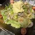 料理メニュー写真&nbsp;よしずサラダ