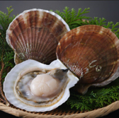 カキシバ 牡蠣シバこうのおすすめ料理2