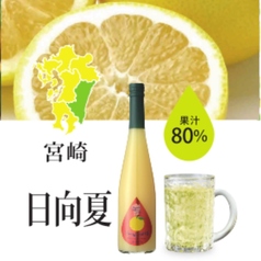 宮崎　日向夏