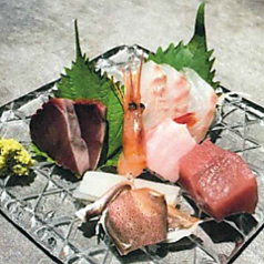 おまかせお造り