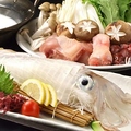 博多魚いち いっ笑のおすすめ料理1