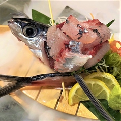 トビウオ(刺 or 焼 or 揚)