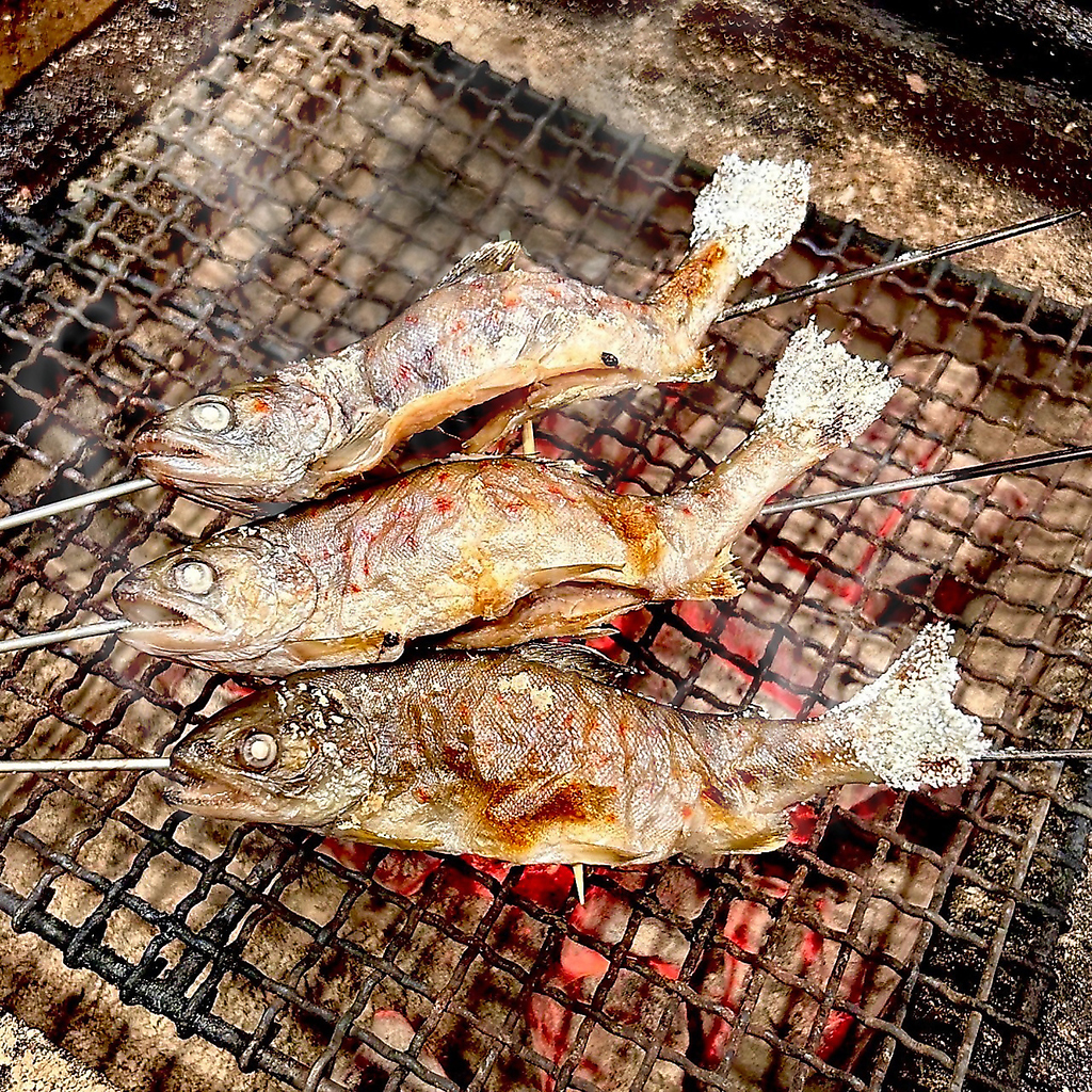 川魚の【あまご】はクセが無く身が柔らかいのが特徴◎炭火焼きでフワフワしっとり食感に仕上げます♪