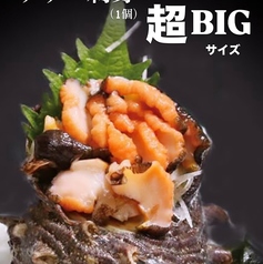 壱岐産超BIGサイズサザエ刺の写真