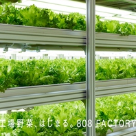 【安心・新鮮・おいしい】日本最大級の人工光型植物工場