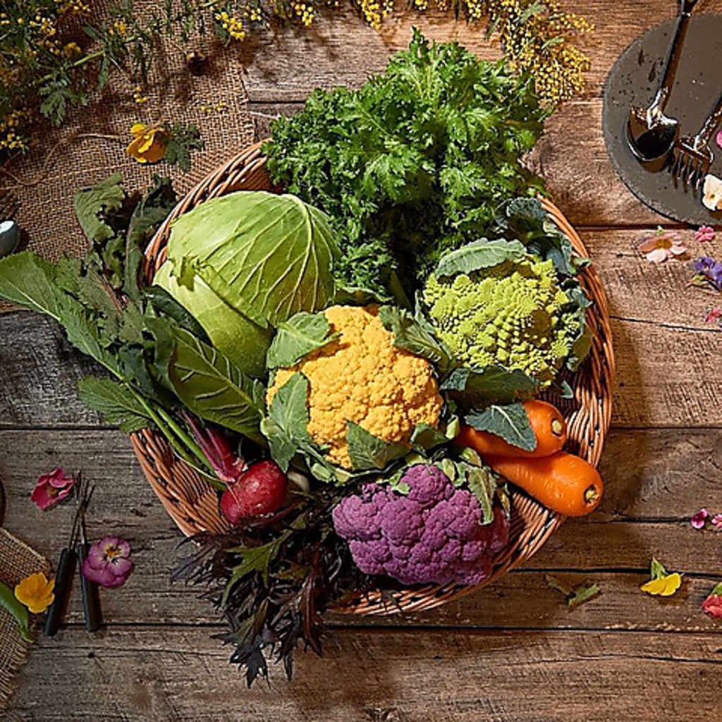 契約農家(ボンディファーム)からの産地直送野菜を使用♪安心・安全の食材を提供いたします！