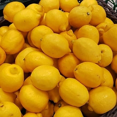 ＼大好評の６種類のレモンサワー／