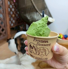宇治抹茶ジェラート
