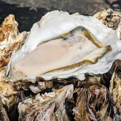 播磨灘産 生牡蠣