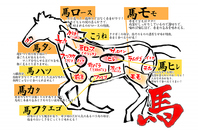 にく源の壁には馬刺しの説明書あり☆